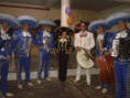 SHOW EN VIVO